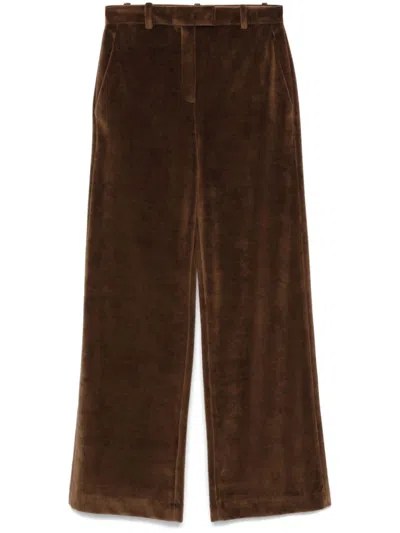 Circolo 1901 Velvet Trousers In Brown