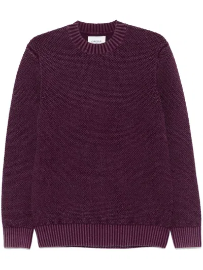 Circolo 1901 Virgin Wool Sweater In Purple