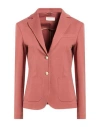 Circolo 1901 Woman Blazer Brown Size 8 Cotton, Lycra