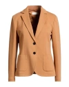 Circolo 1901 Woman Blazer Camel Size 10 Cotton, Lycra In Brown