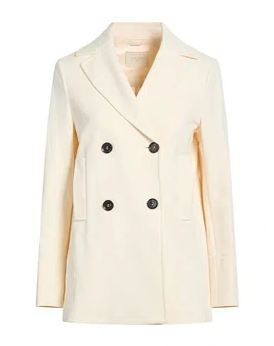 Circolo 1901 Woman Blazer Ivory Size 4 Cotton, Lycra In Gray
