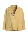Circolo 1901 Woman Blazer Mustard Size 10 Cotton, Lycra In Yellow