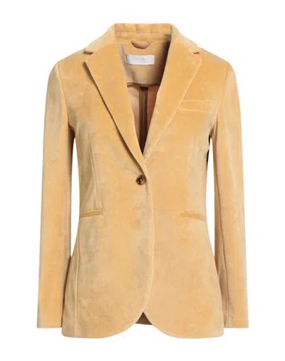 Circolo 1901 Woman Blazer Mustard Size 10 Cotton, Polyester