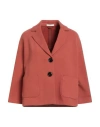 Circolo 1901 Woman Blazer Rust Size 6 Cotton, Elastane