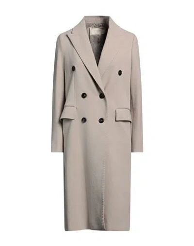 Circolo 1901 Woman Coat Beige Size 8 Cotton, Elastane