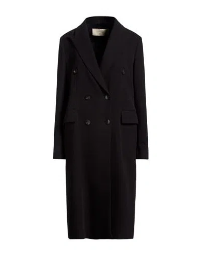 Circolo 1901 Woman Coat Black Size 10 Cotton, Elastane