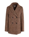Circolo 1901 Woman Coat Brown Size 10 Virgin Wool, Alpaca Wool