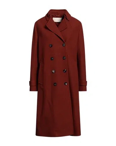Circolo 1901 Woman Coat Brown Size 6 Virgin Wool