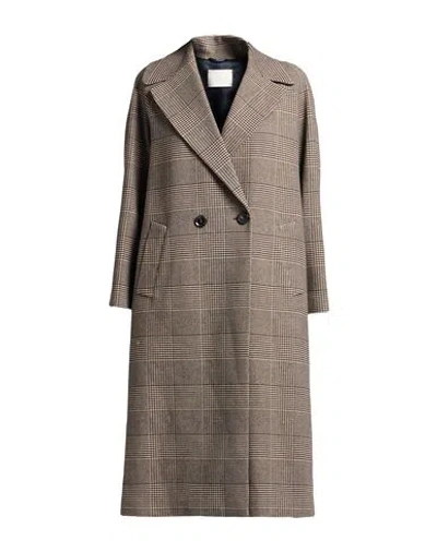Circolo 1901 Woman Coat Dark Brown Size S/m Cotton, Elastane