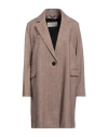 Circolo 1901 Woman Coat Khaki Size 6 Cotton, Elastane In Beige