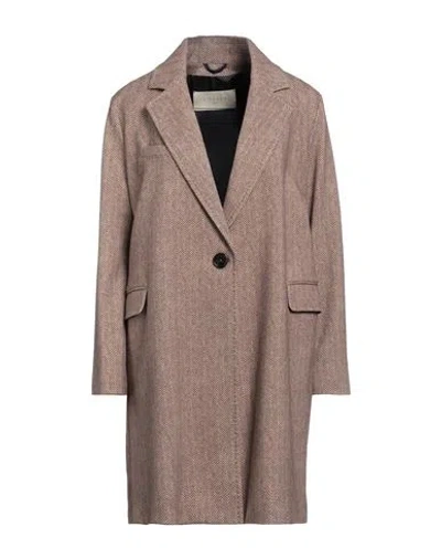 Circolo 1901 Woman Coat Khaki Size 6 Cotton, Elastane In Beige