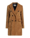 Circolo 1901 Woman Coat Mustard Size 8 Cotton, Polyester In Yellow