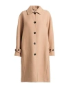 Circolo 1901 Woman Coat Sand Size 8 Virgin Wool