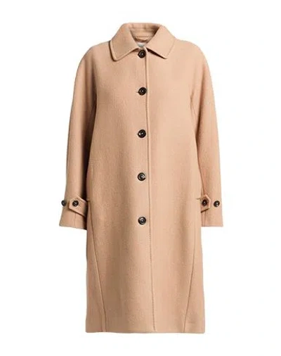 Circolo 1901 Woman Coat Sand Size 8 Virgin Wool