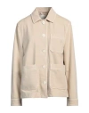 Circolo 1901 Woman Jacket Beige Size 6 Cotton, Lycra In Neutral