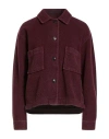 Circolo 1901 Woman Jacket Burgundy Size 4 Virgin Wool, Polyamide In Red