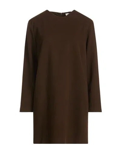 Circolo 1901 Woman Mini Dress Chocolate Brown Size 10 Cotton, Elastane