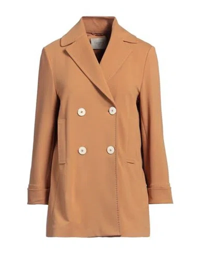 Circolo 1901 Woman Overcoat & Trench Coat Camel Size 12 Cotton, Lycra In Beige