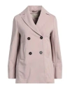 Circolo 1901 Woman Overcoat & Trench Coat Light Brown Size 8 Cotton, Lycra In Beige