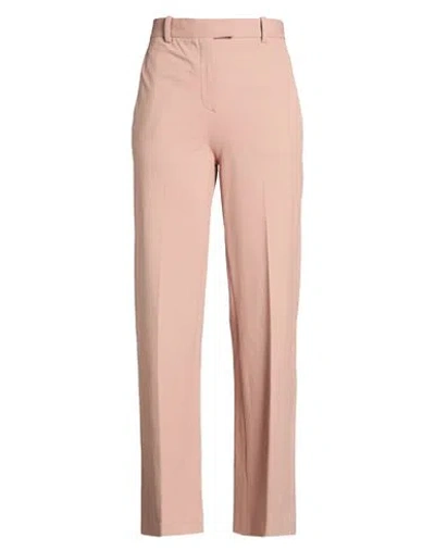 Circolo 1901 Woman Pants Antique Rose Size 6 Cotton, Elastane In Pink