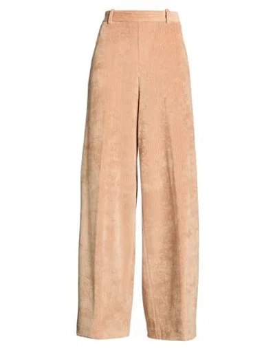 Circolo 1901 Woman Pants Antique Rose Size 8 Cotton, Polyester In Pink