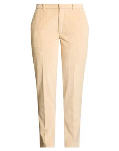 Circolo 1901 Woman Pants Apricot Size 12 Cotton, Polyester In Nude