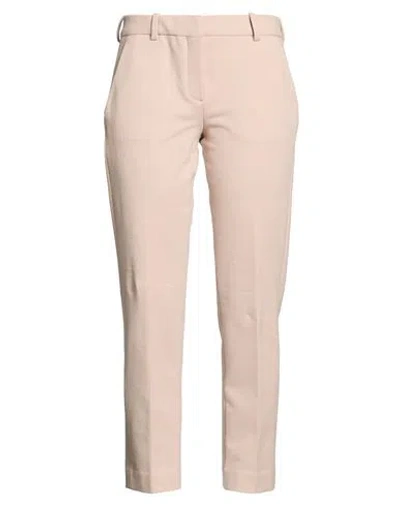 Circolo 1901 Woman Pants Beige Size 4 Cotton, Elastane In Neutral