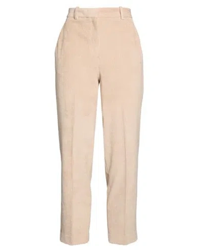 Circolo 1901 Woman Pants Beige Size 4 Cotton, Polyester