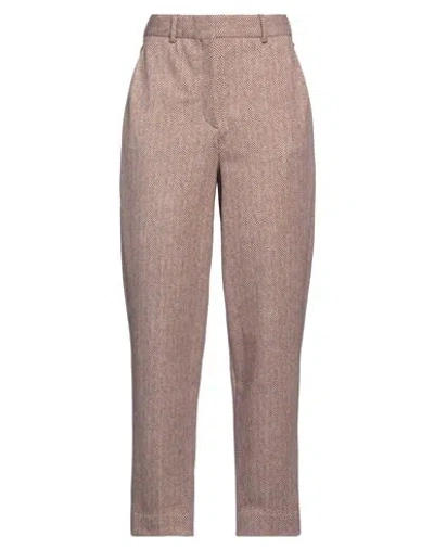 Circolo 1901 Woman Pants Brown Size 4 Cotton, Elastane