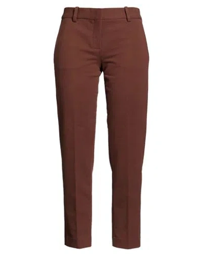 Circolo 1901 Woman Pants Brown Size 4 Cotton, Elastane
