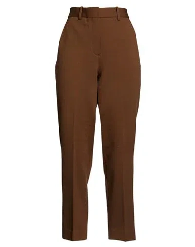 Circolo 1901 Woman Pants Brown Size 4 Cotton, Elastane