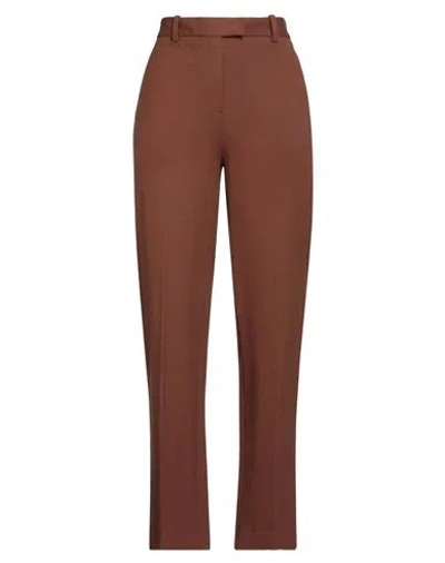 Circolo 1901 Woman Pants Brown Size 6 Cotton, Elastane