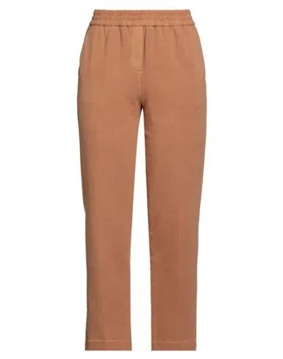 Circolo 1901 Woman Pants Brown Size 6 Cotton, Elastane