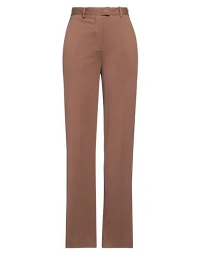Circolo 1901 Woman Pants Brown Size 6 Cotton, Elastane