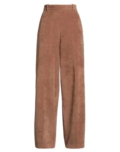 Circolo 1901 Woman Pants Brown Size 6 Cotton, Polyester