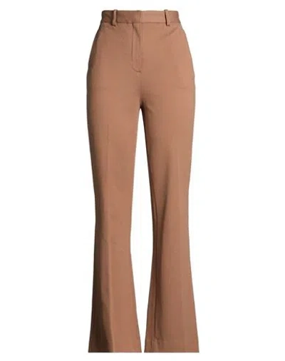 Circolo 1901 Woman Pants Brown Size 8 Cotton, Elastane
