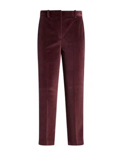 Circolo 1901 Woman Pants Burgundy Size 10 Cotton, Polyester In Red