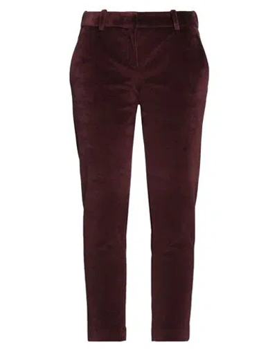 Circolo 1901 Woman Pants Burgundy Size 2 Cotton, Polyester In Red