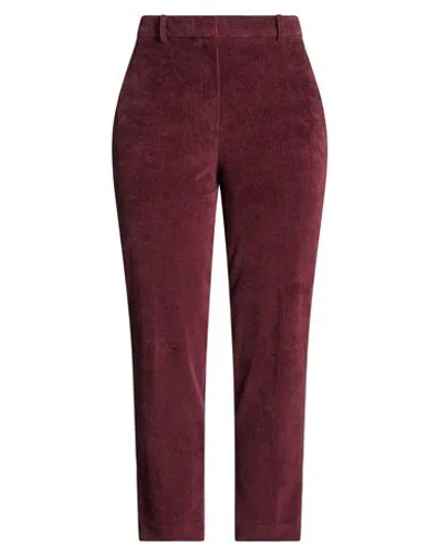 Circolo 1901 Woman Pants Burgundy Size 6 Cotton, Polyester In Brown