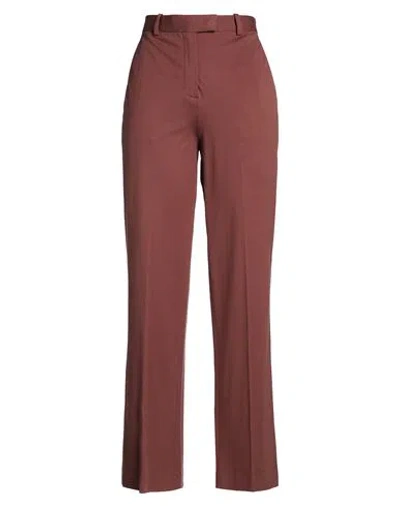Circolo 1901 Woman Pants Chocolate Brown Size 10 Cotton, Elastane