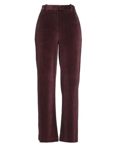 Circolo 1901 Woman Pants Chocolate Brown Size 12 Cotton, Polyester