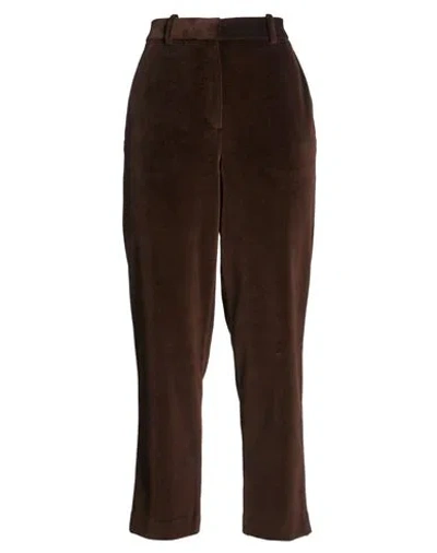 Circolo 1901 Woman Pants Chocolate Brown Size 2 Cotton, Polyester