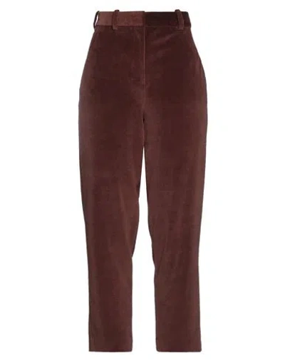 Circolo 1901 Woman Pants Chocolate Brown Size 4 Cotton, Polyester
