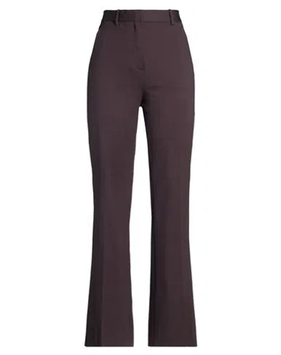 Circolo 1901 Woman Pants Dark Brown Size 6 Cotton, Elastane