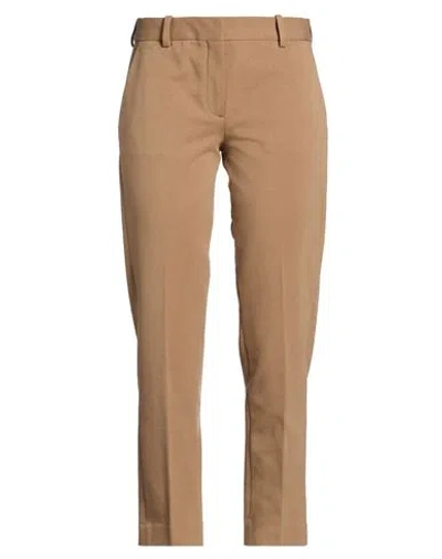 Circolo 1901 Woman Pants Light Brown Size 10 Cotton, Lycra
