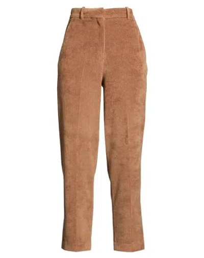 Circolo 1901 Woman Pants Light Brown Size 4 Cotton, Polyester In Beige