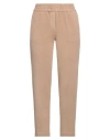 Circolo 1901 Woman Pants Light Brown Size 6 Cotton, Elastane In Beige