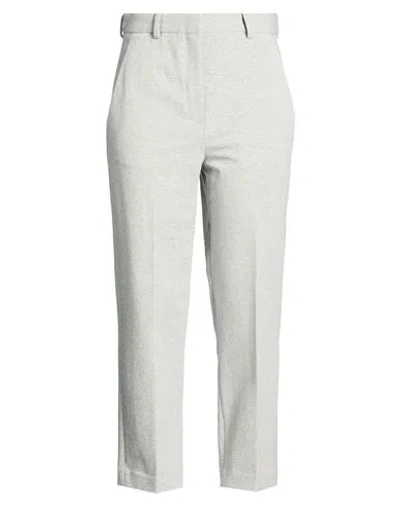 Circolo 1901 Woman Pants Light Grey Size 4 Cotton, Elastane In Gray