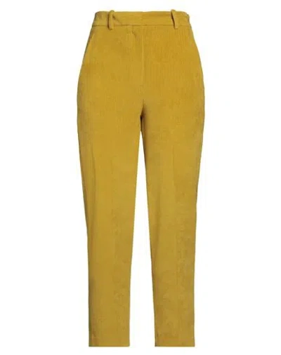 Circolo 1901 Woman Pants Marigold Size 10 Cotton, Polyester In Yellow