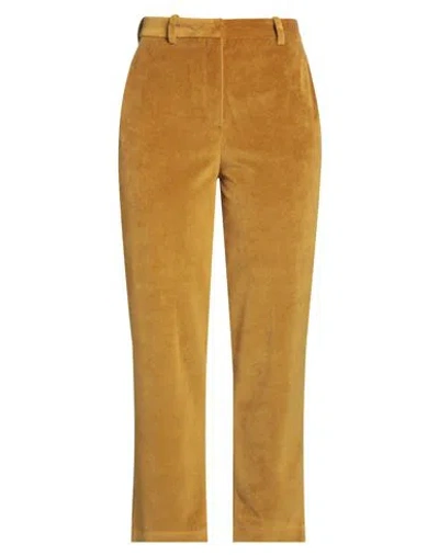 Circolo 1901 Woman Pants Marigold Size 12 Cotton, Polyester In Yellow
